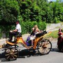 jadwiga (86)